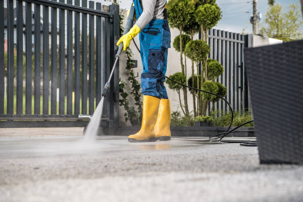 Best Graffiti Removal  in Lockland, OH